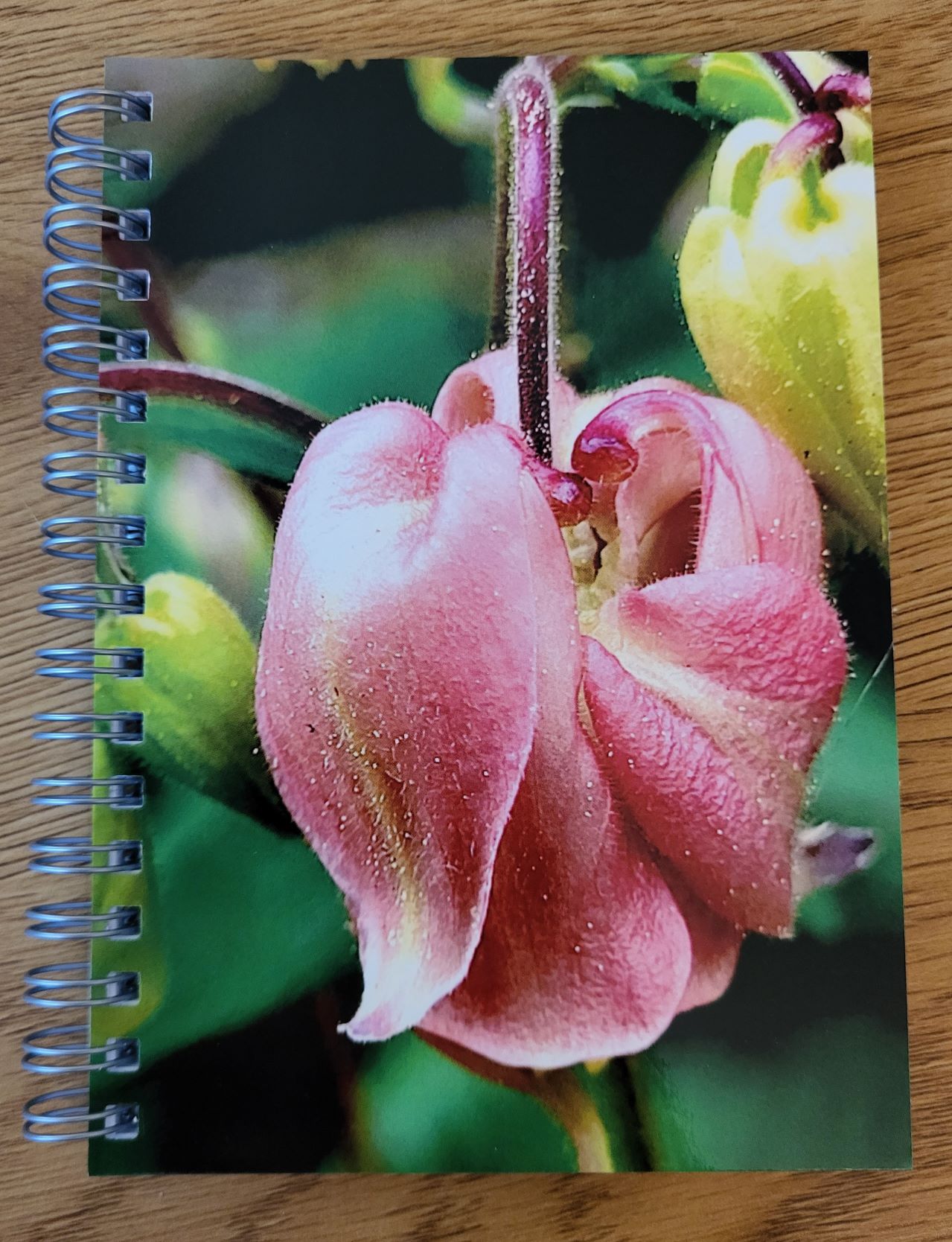 Notizblock A6 gemeine Akelei