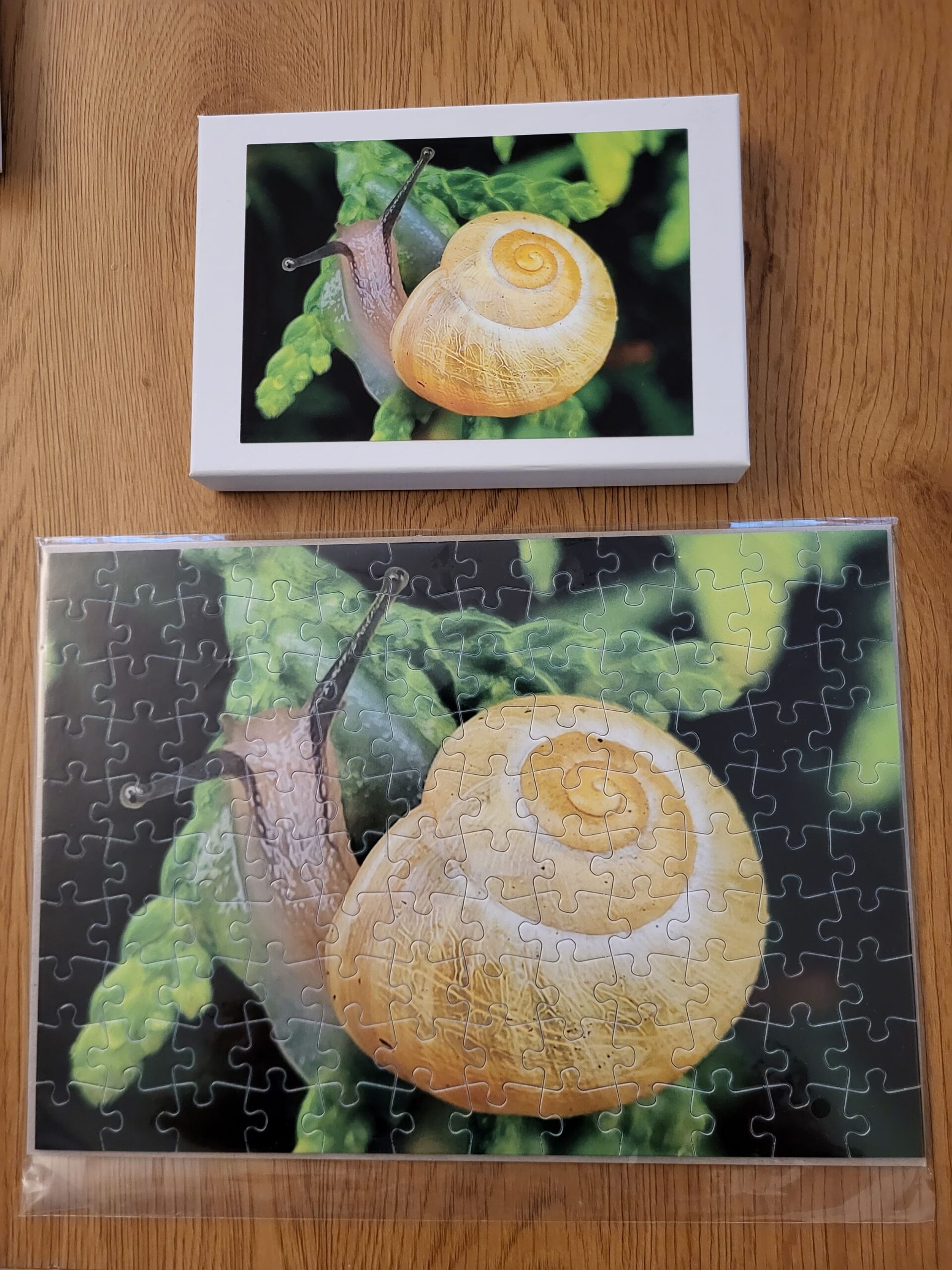 Puzzle Schnecke 120teilig