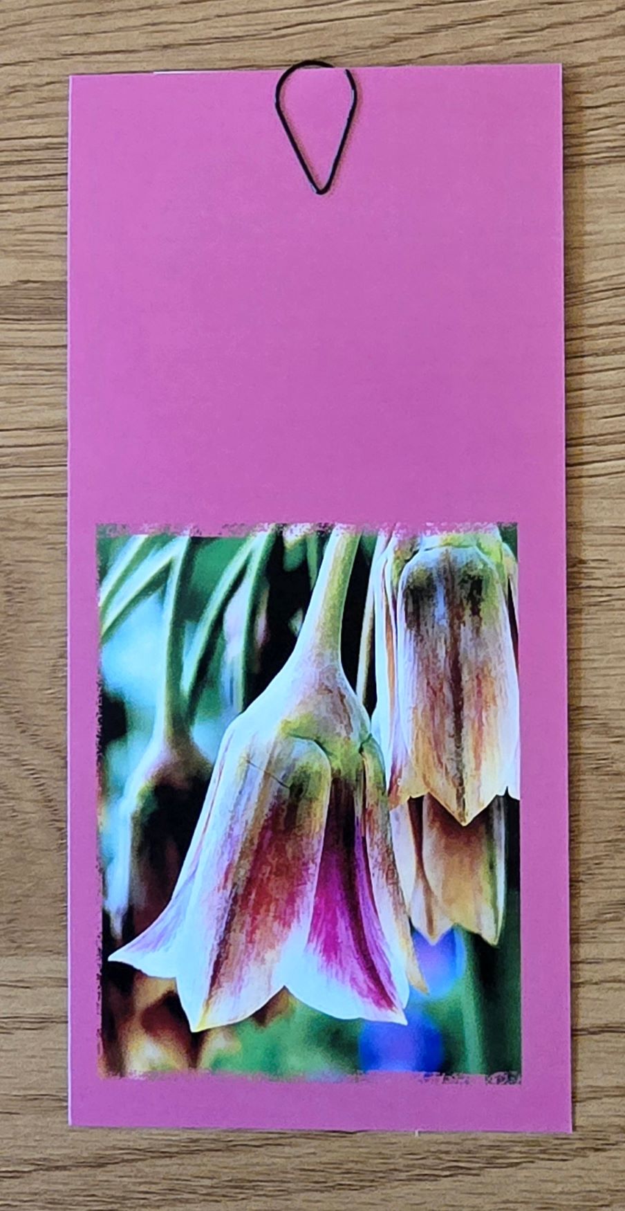 Grusskarte mehrteilig gemeine Akelei – Bild 3