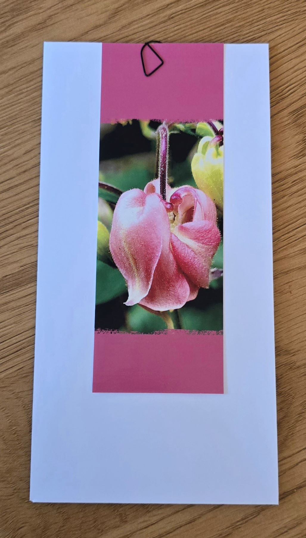 Grusskarte mehrteilig gemeine Akelei