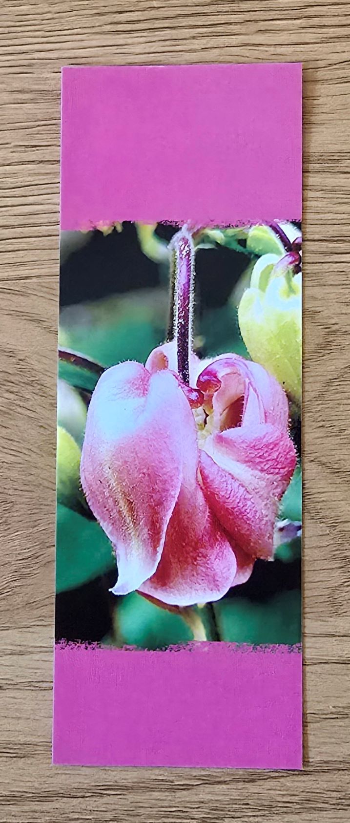 Grusskarte mehrteilig gemeine Akelei – Bild 2