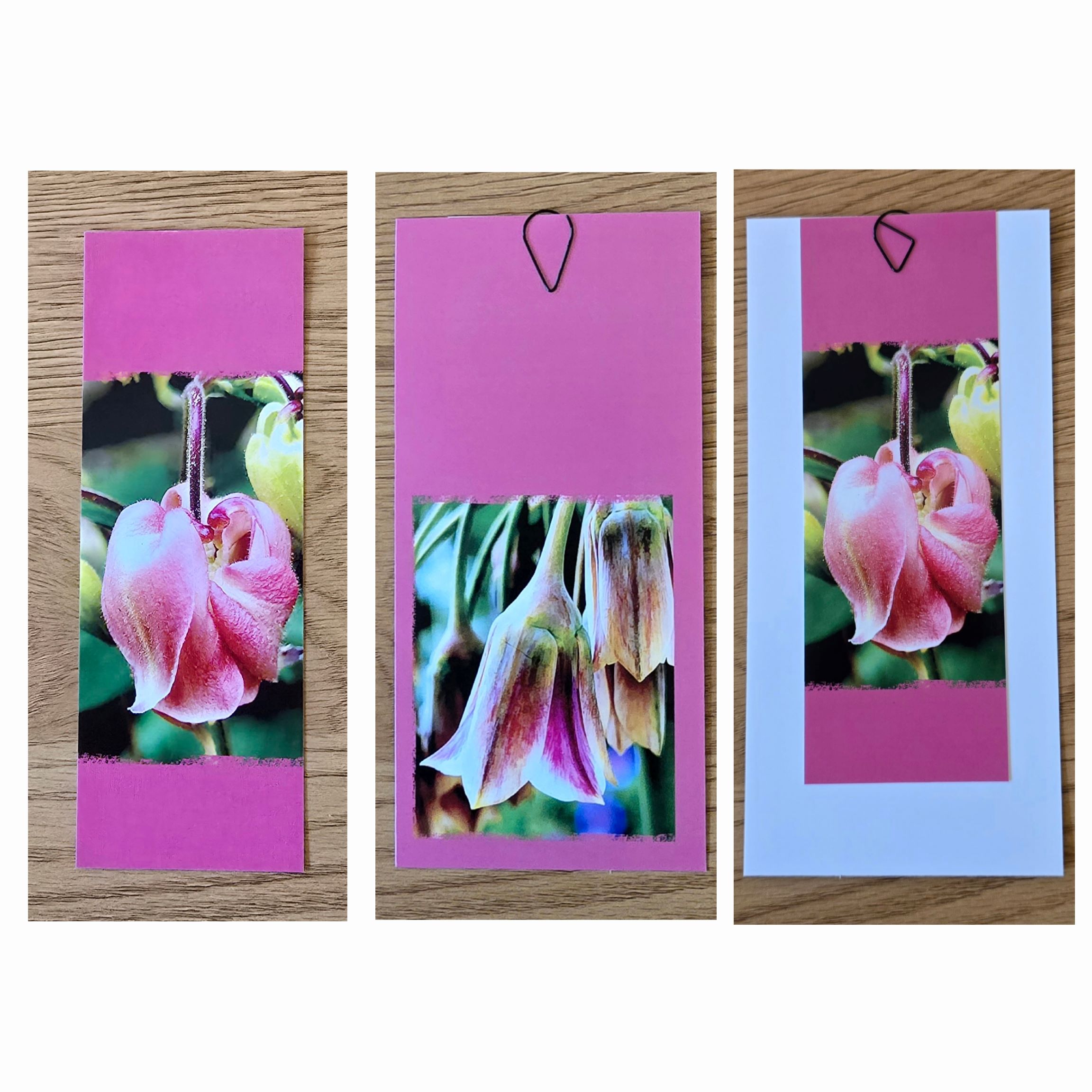 Grusskarte mehrteilig gemeine Akelei – Bild 4