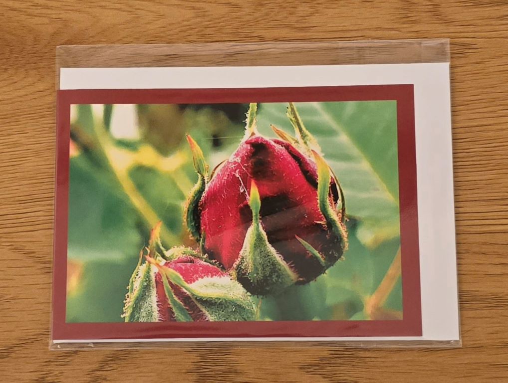 Doppelkarte rote Rosen Querformat