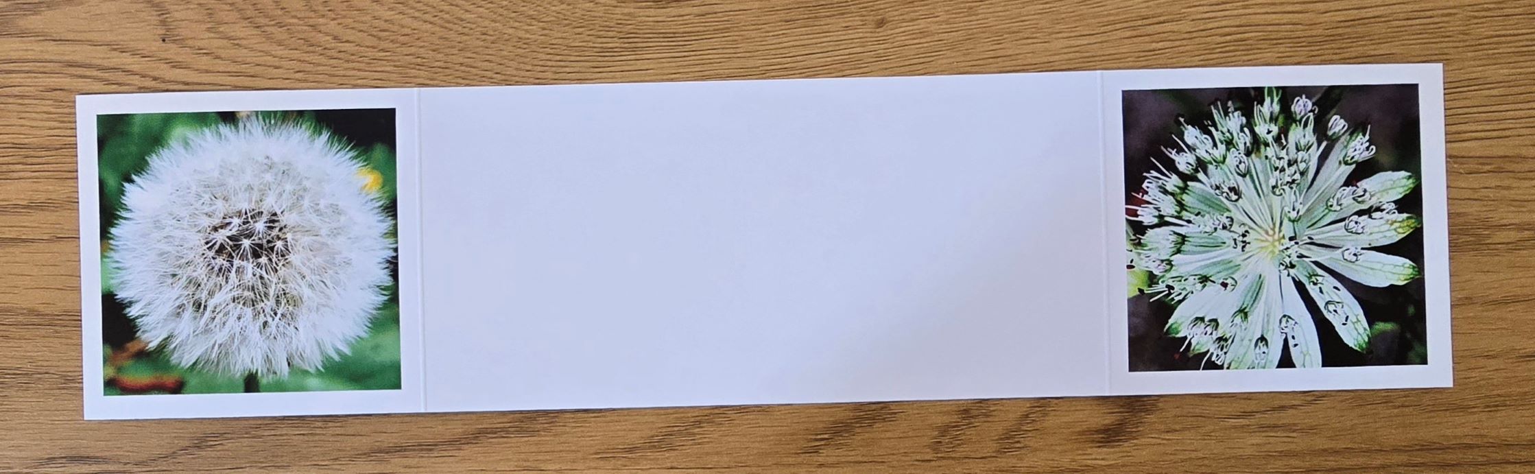 Grusskarte gefaltet Kuhblume-Sterndolde – Bild 2