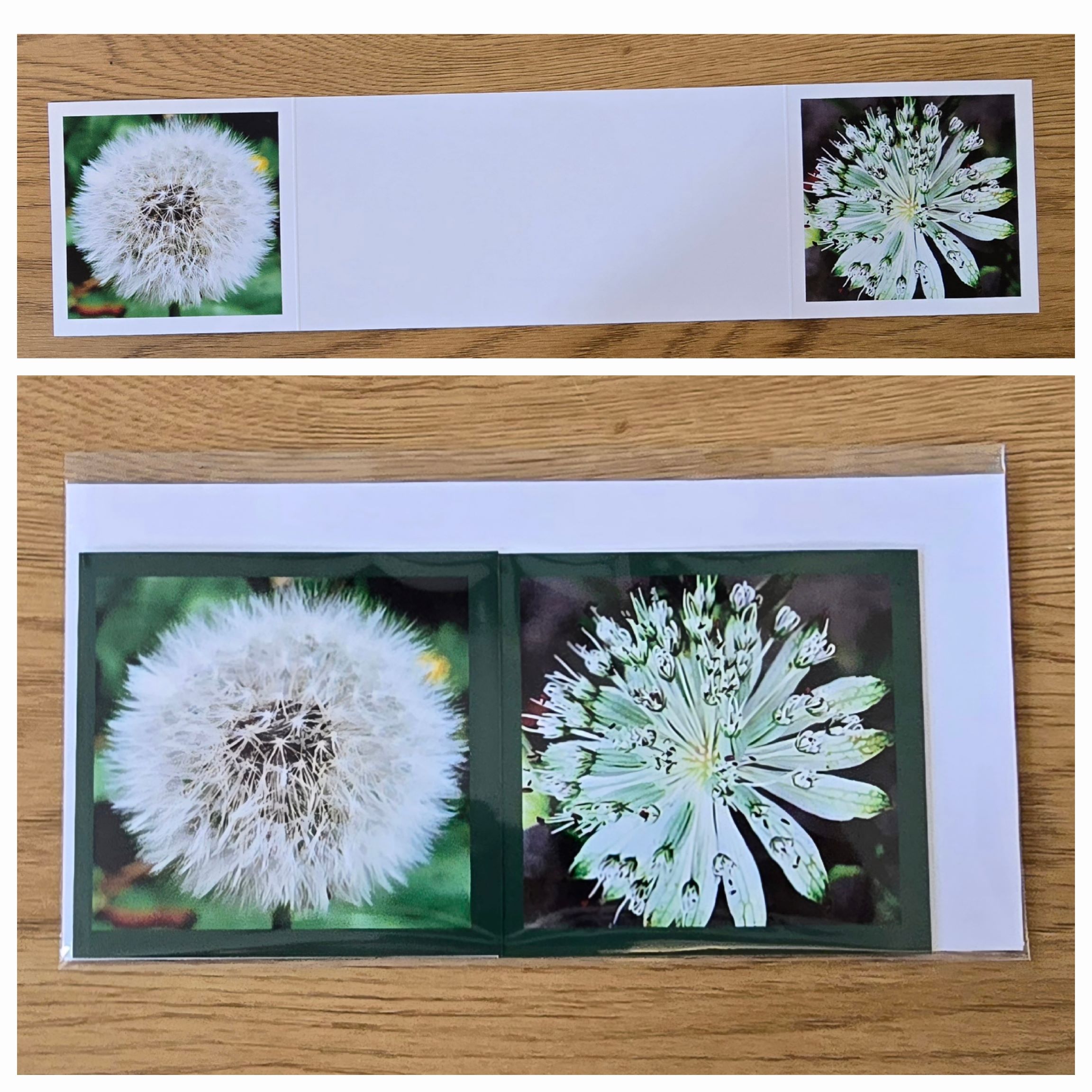 Grusskarte gefaltet Kuhblume-Sterndolde – Bild 3