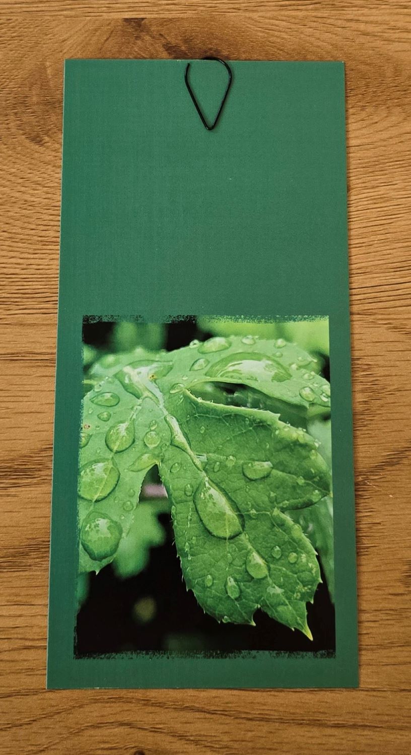 Grusskarte mehrteilig grün – Bild 3