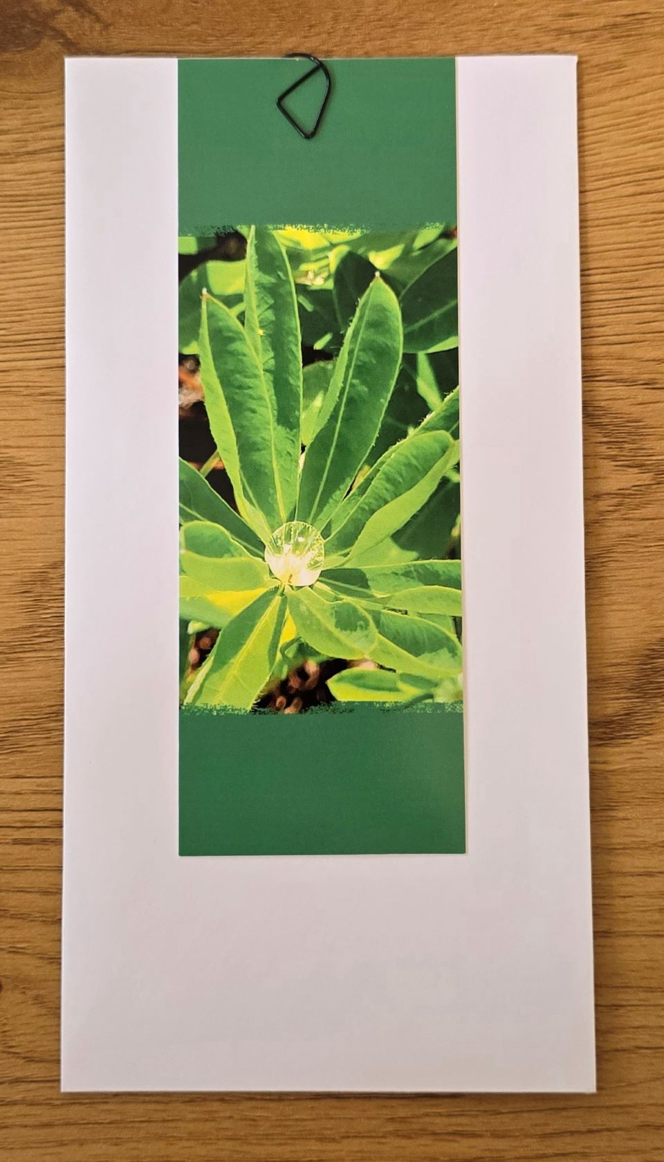 Grusskarte mehrteilig grün