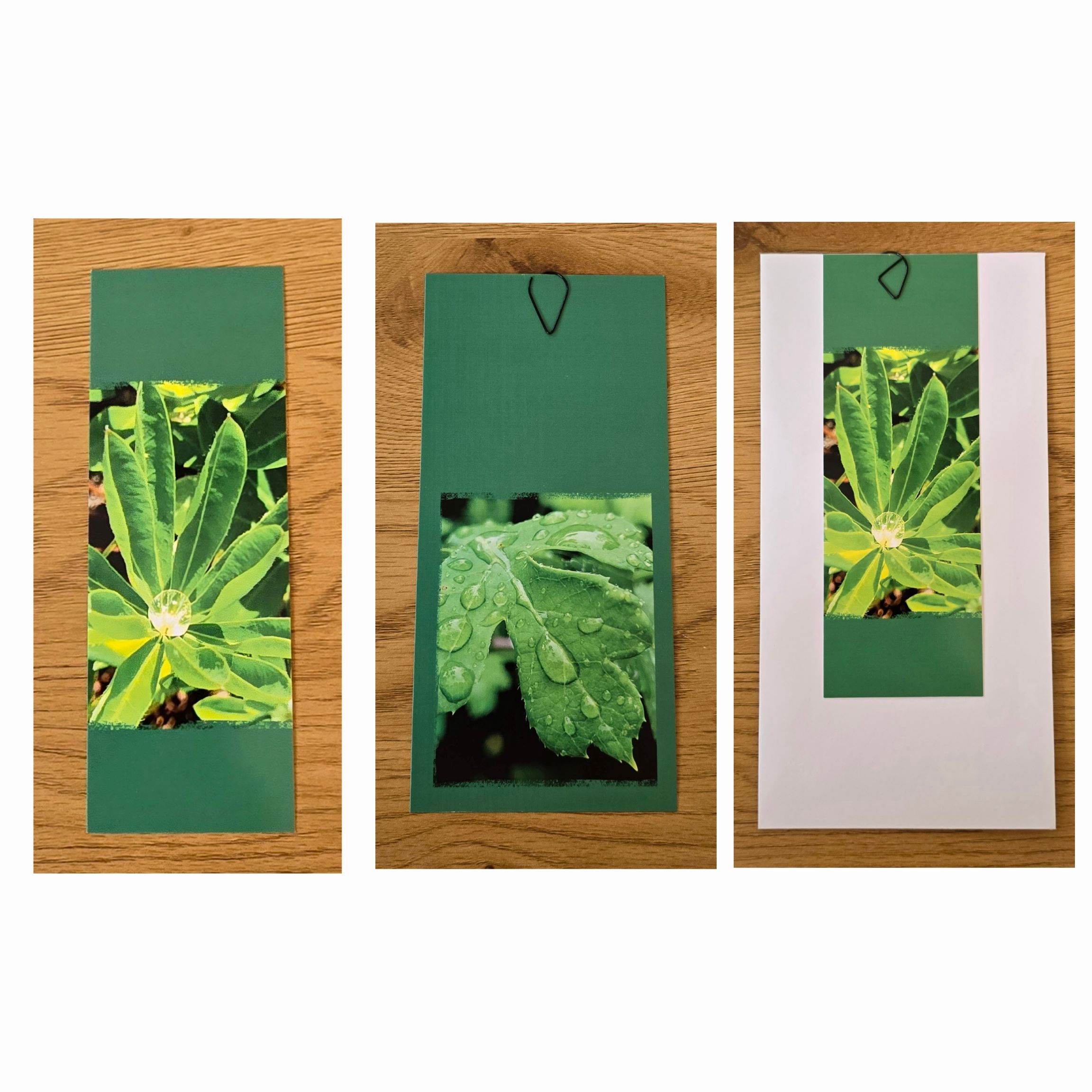 Grusskarte mehrteilig grün – Bild 4