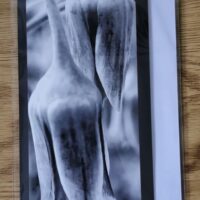 Doppelkarte Honiglauch Hochformat sw