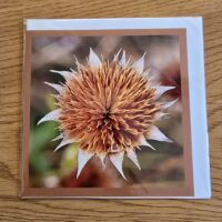 Doppelkarte Golddistel Quadratisch