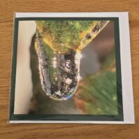 Doppelkarte Eistropfen Quadratisch