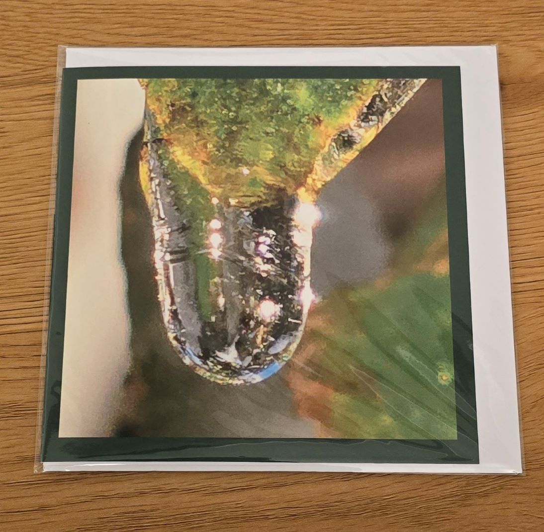 Doppelkarte Eistropfen Quadratisch