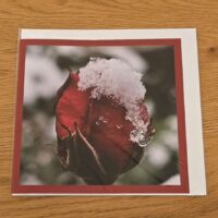 Doppelkarte Rose Quadratisch