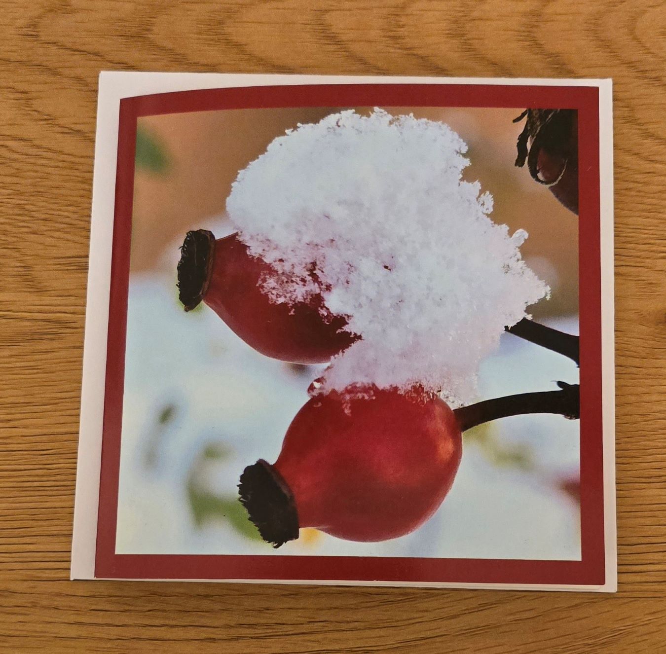 Doppelkarte Hagebutten Quadratisch