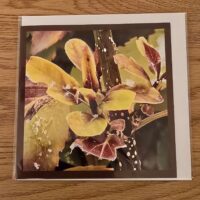 Doppelkarte Forsythie Quadratisch