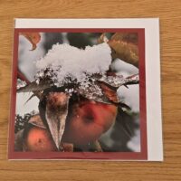 Doppelkarte Hundsrose Quadratisch