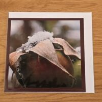 Doppelkarte Hundsrose1 Quadratisch