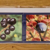 Grusskarte gefaltet Beeren