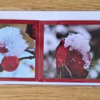 Grusskarte gefaltet Hagebutte-Rose