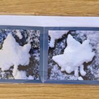 Grusskarte gefaltet Schneeblatt