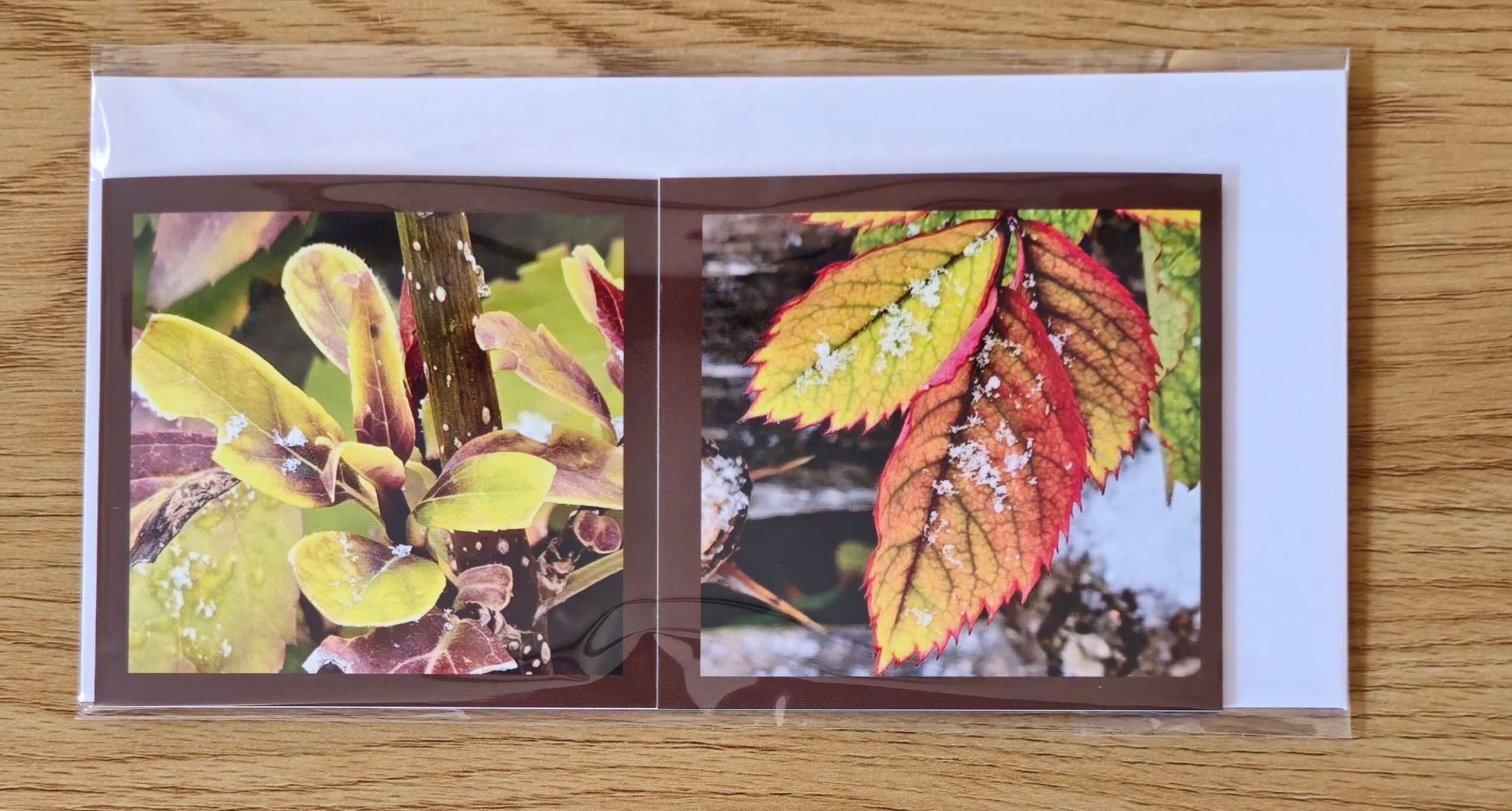 Grusskarte gefaltet Forsythie-Alpenheckenrose