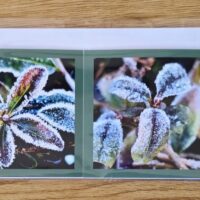 Grusskarte gefaltet Schlehdorn