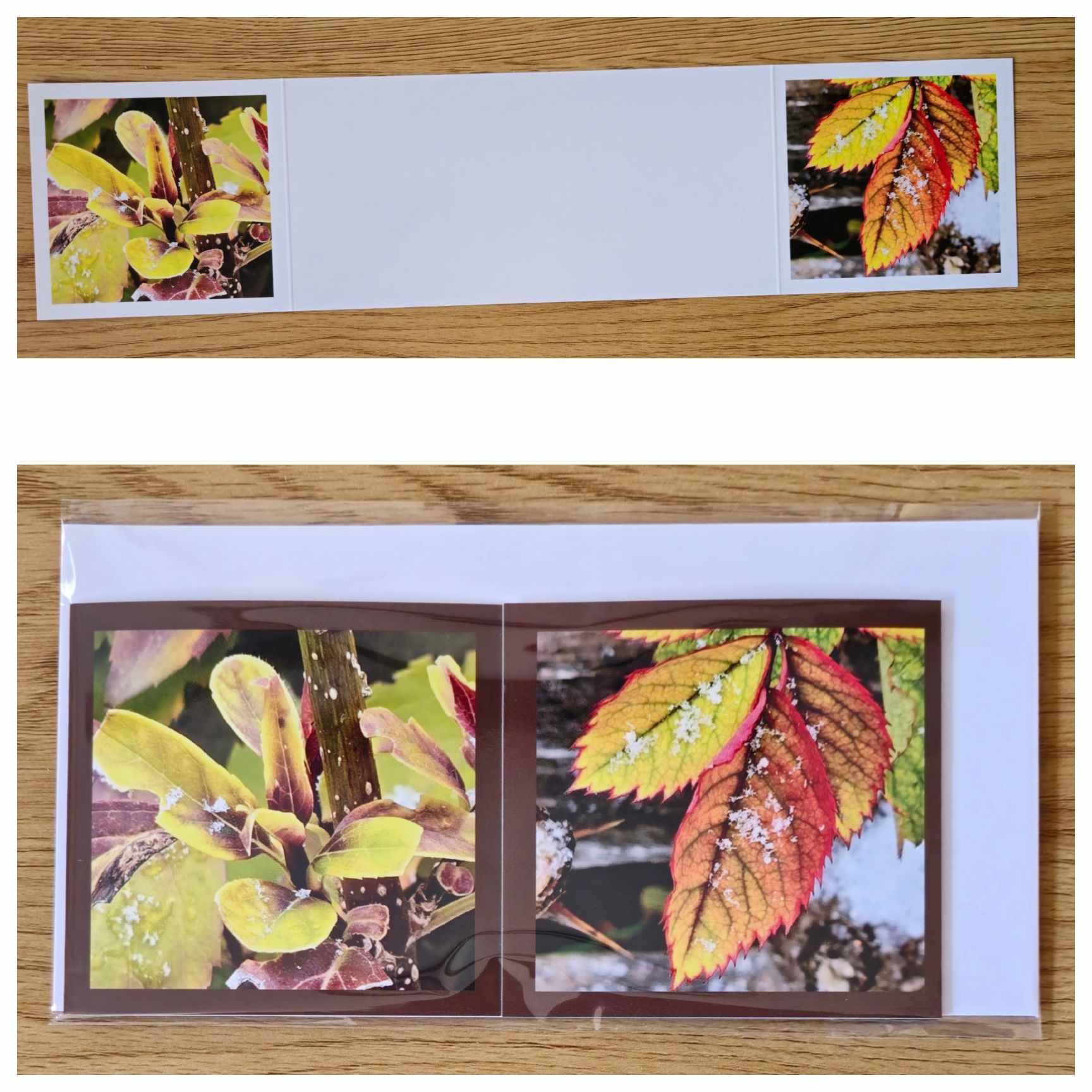 Grusskarte gefaltet Forsythie-Alpenheckenrose – Bild 2