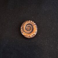 Magnetbrosche Schnecke Bronze