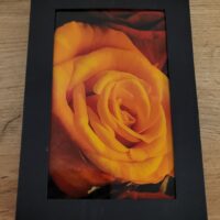 Notizbox Edelrose orange