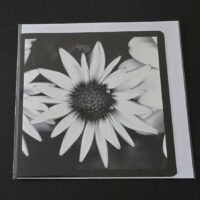 Doppelkarte Kapörbchen Quadratisch sw