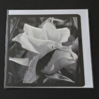 Doppelkarte Rose Quadratisch sw