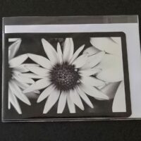 Doppelkarte Kapörbchen Querformat sw