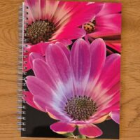 Notizblock A5 Bornholmmargerite