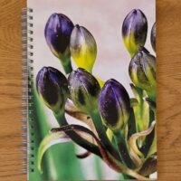 Notizblock A5 Schmucklilie