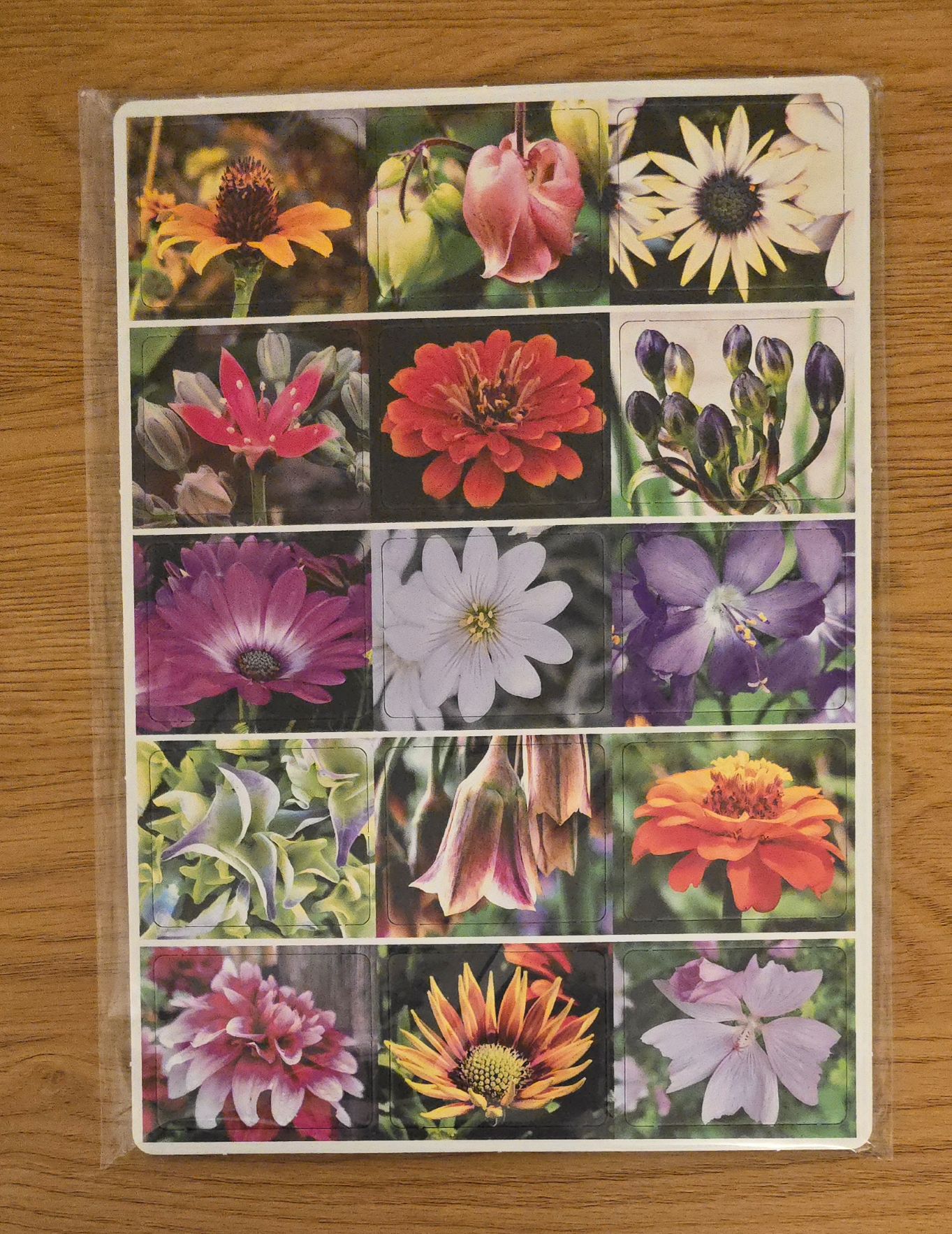 Memory blumen