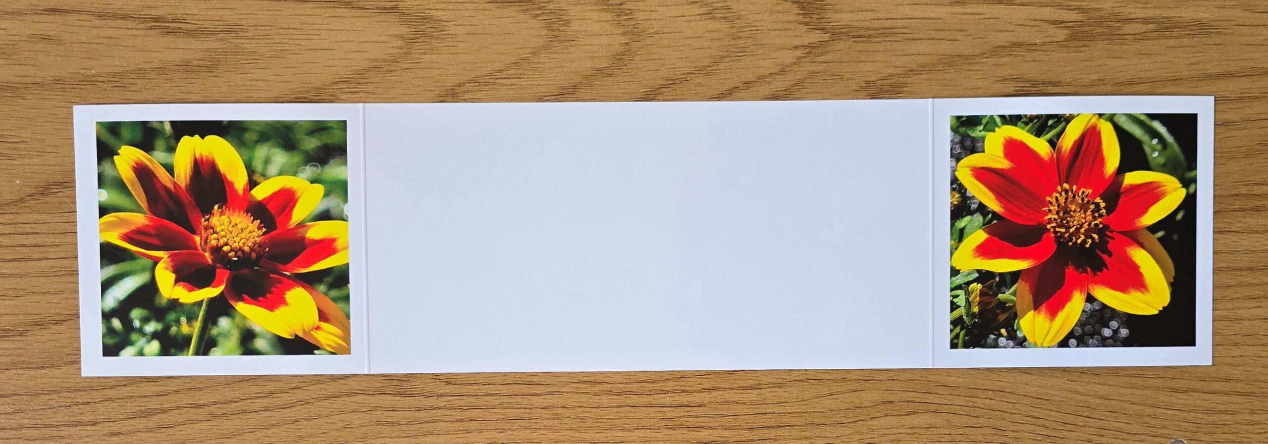 Grusskarte gefaltet Zweizahn – Bild 2