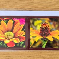 Grusskarte gefaltet Margarite-Sonnenblume