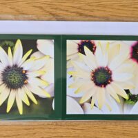 Grusskarte gefaltet Kapörbchen