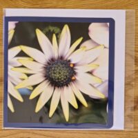 Doppelkarte Kapörbchen Quadratisch