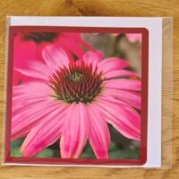 Doppelkarte Purpursonnenhut Quadratisch