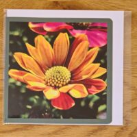 Doppelkarte Bornholmmargerite gelb Quadratisch