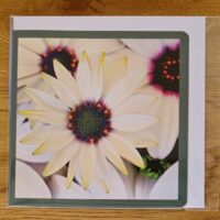 Doppelkarte Kapörbchen weiss Quadratisch