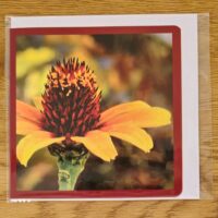 Doppelkarte mexikanische Sonnenblume Quadratisch