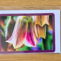 Doppelkarte sizilianischer Honiglauch Querformat