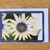 Doppelkarte Kapörbchen Querformat