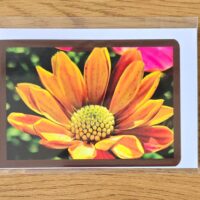 Doppelkarte Bornholmmargerite gelb Querformat