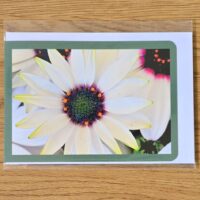 Doppelkarte Kapörbchen weiss Querformat