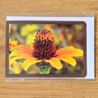 Doppelkarte mexikanische Sonnenblume Querformat