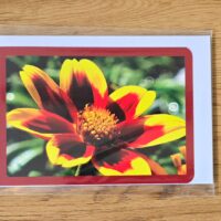 Doppelkarte goldener Zweizahn Querformat