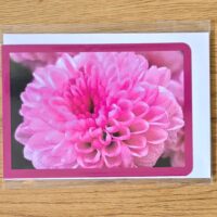 Doppelkarte Garten-Chrysantheme Querformat